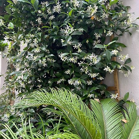 볼로스 Maria'S Jasmine 아파트 외부 사진