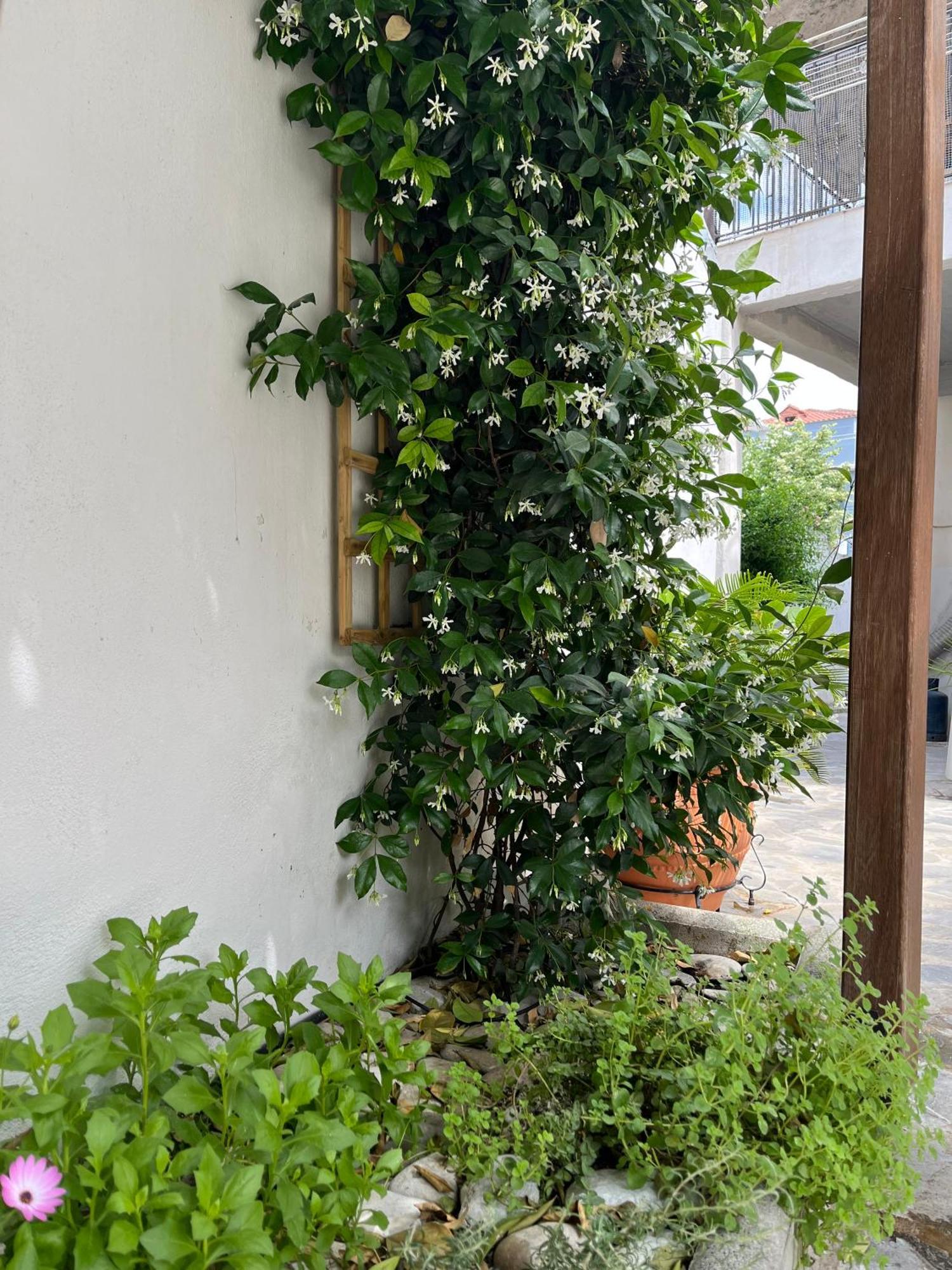 볼로스 Maria'S Jasmine 아파트 외부 사진